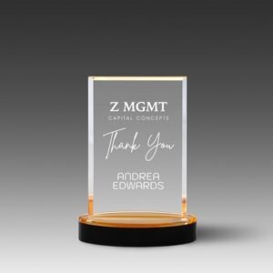 value-mirror-vista-award